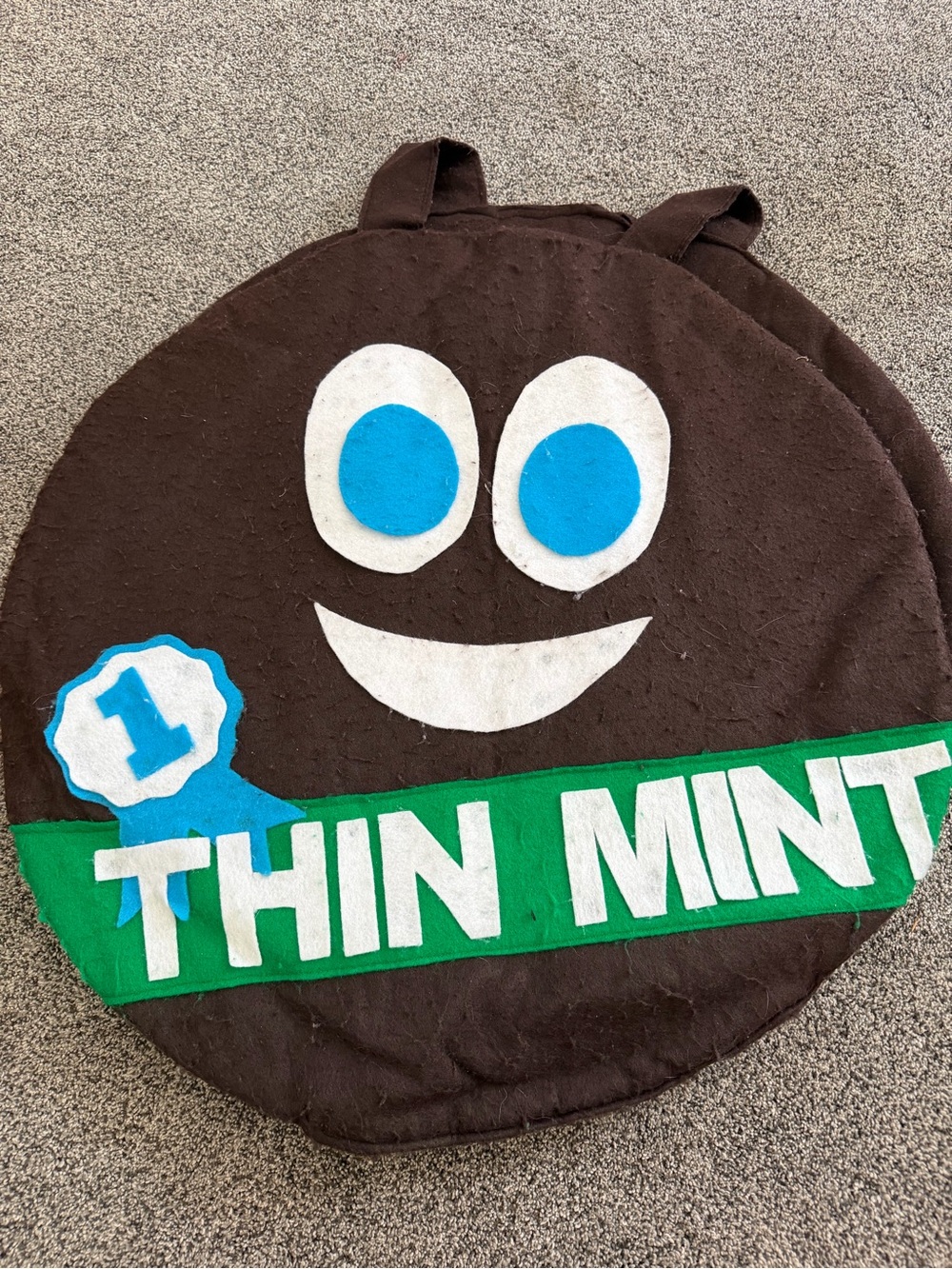 Girl Scout Thin Mint Cookie Costume